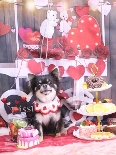 20250215らんまるちゃん